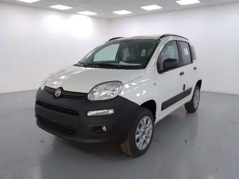 Used FIAT PANDA Petrol 2023 Ad 