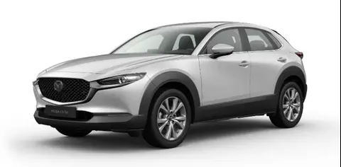 Used MAZDA CX-30 Hybrid 2024 Ad Germany