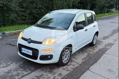 Annonce FIAT PANDA Essence 2020 d'occasion 