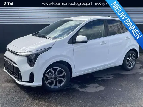 Used KIA PICANTO Petrol 2024 Ad 