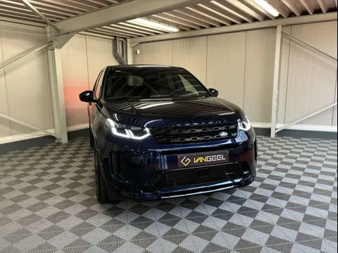 Used LAND ROVER DISCOVERY Hybrid 2023 Ad Belgium