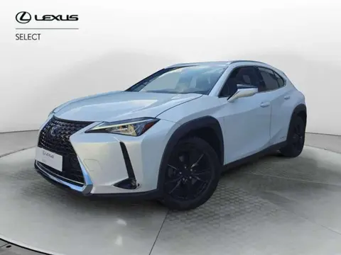 Used LEXUS UX Hybrid 2020 Ad 