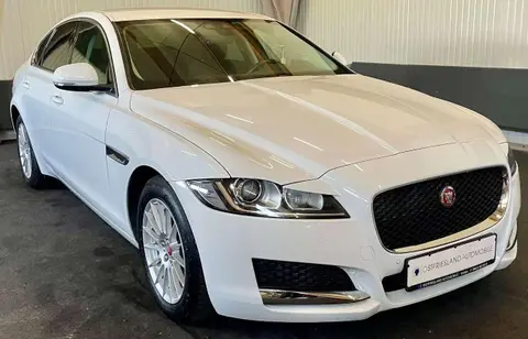 Annonce JAGUAR XF Diesel 2020 d'occasion 