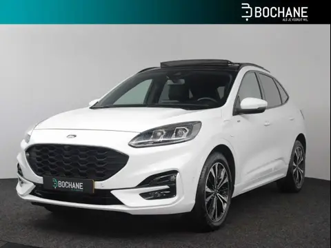 Annonce FORD KUGA Hybride 2020 d'occasion 