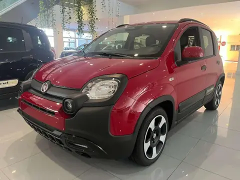 Annonce FIAT PANDA Hybride 2024 d'occasion 