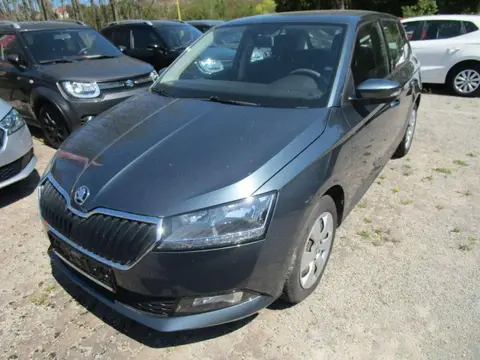 Used SKODA FABIA Petrol 2019 Ad 