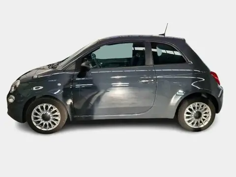 Used FIAT 500 Hybrid 2021 Ad 