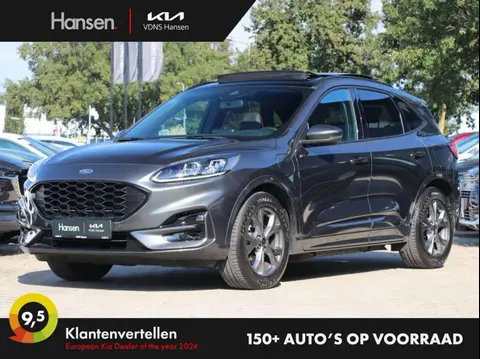 Annonce FORD KUGA Hybride 2020 d'occasion 