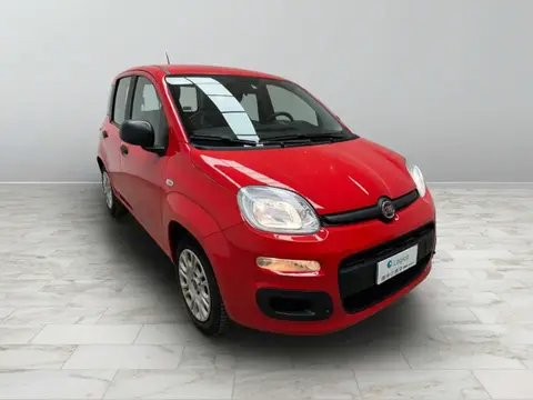 Used FIAT PANDA Hybrid 2021 Ad 