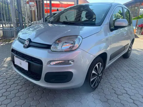 Annonce FIAT PANDA Essence 2015 d'occasion 