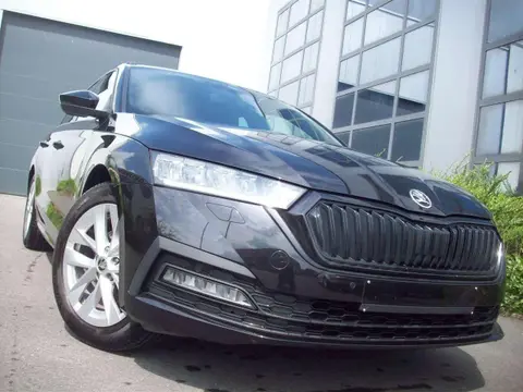 Used SKODA OCTAVIA Petrol 2021 Ad 