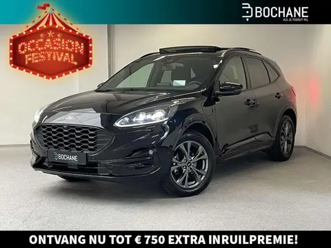 Annonce FORD KUGA Hybride 2022 d'occasion 