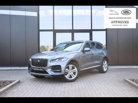 Annonce JAGUAR F-PACE Essence 2023 d'occasion 