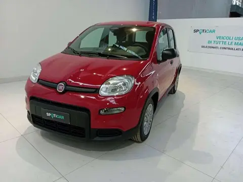 Used FIAT PANDA Hybrid 2024 Ad 