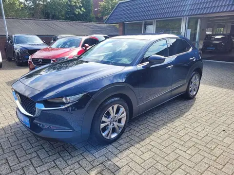 Annonce MAZDA CX-30 Hybride 2021 d'occasion Allemagne