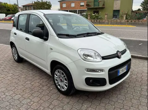 Annonce FIAT PANDA Essence 2019 d'occasion 