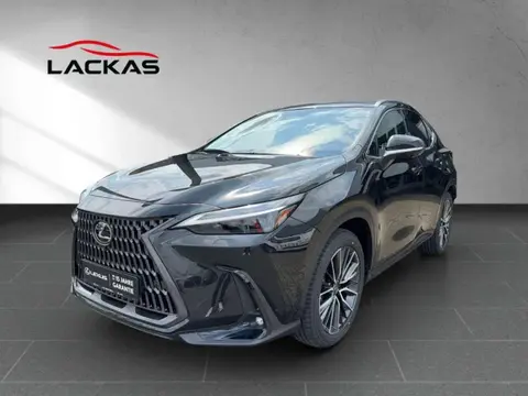 Used LEXUS NX Hybrid 2024 Ad 