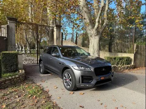 Used JAGUAR F-PACE Petrol 2019 Ad 