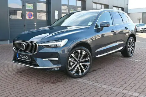 Annonce VOLVO XC60 Diesel 2023 d'occasion 