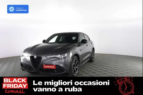 Used ALFA ROMEO STELVIO Diesel 2024 Ad 