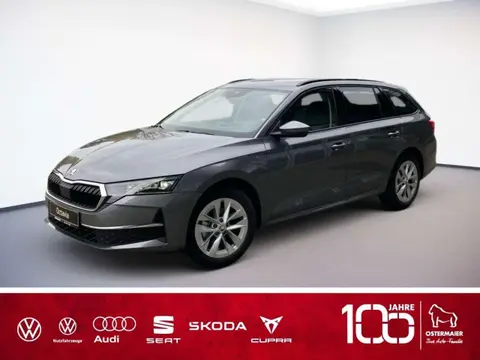 Used SKODA OCTAVIA Diesel 2024 Ad 