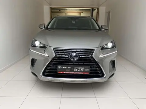 Used LEXUS NX Hybrid 2020 Ad Belgium