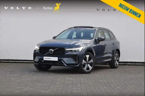 Used VOLVO XC60 Hybrid 2024 Ad 