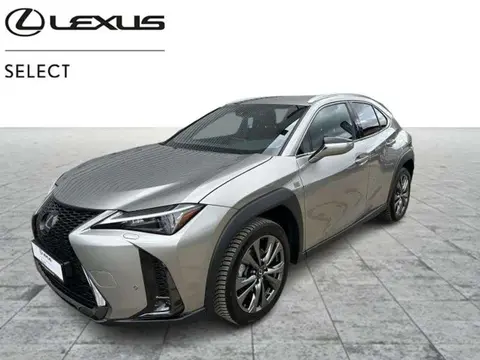 Used LEXUS UX Hybrid 2023 Ad Belgium