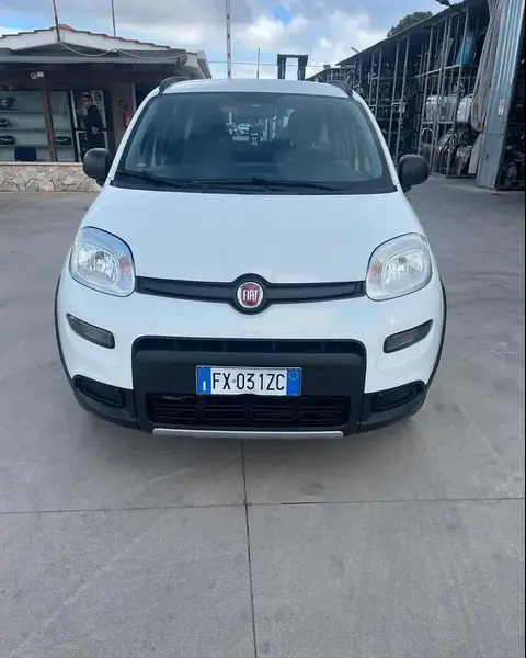 Annonce FIAT PANDA Essence 2019 d'occasion 