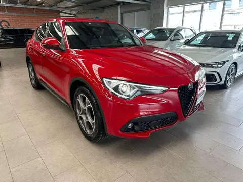 Annonce ALFA ROMEO STELVIO Diesel 2022 d'occasion 