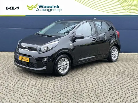 Used KIA PICANTO Petrol 2023 Ad 