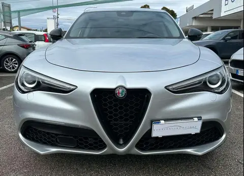 Used ALFA ROMEO STELVIO Diesel 2019 Ad 