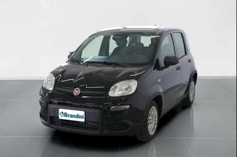 Annonce FIAT PANDA Hybride 2024 d'occasion 