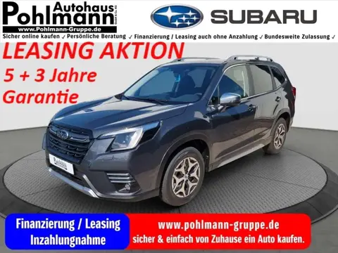 Used SUBARU FORESTER Petrol 2024 Ad 