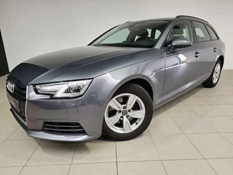 Used AUDI A4 Diesel 2019 Ad Belgium