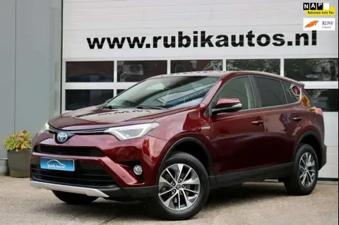 Used TOYOTA RAV4 Hybrid 2016 Ad 