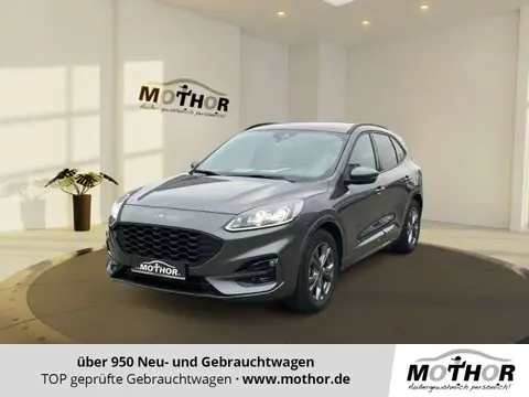 Used FORD KUGA Hybrid 2024 Ad 