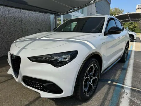 Used ALFA ROMEO STELVIO Diesel 2024 Ad 