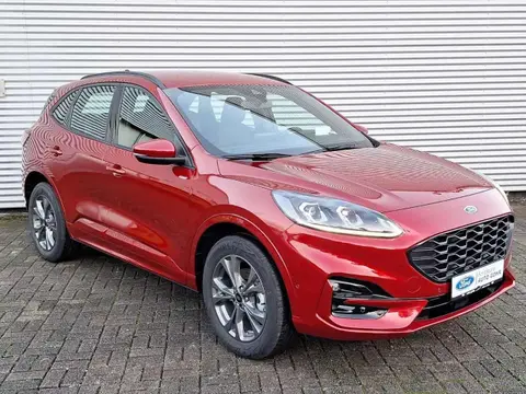 Annonce FORD KUGA Hybride 2024 d'occasion 