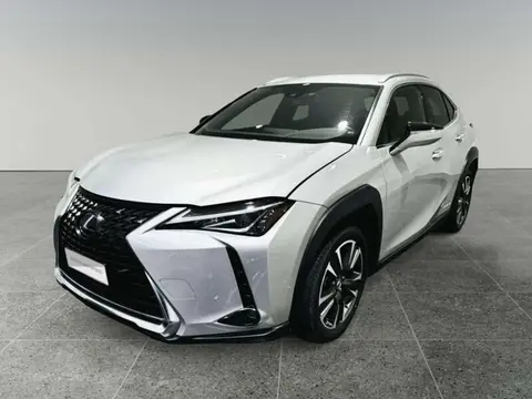 Used LEXUS UX Hybrid 2020 Ad 