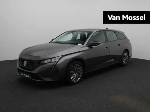 Used PEUGEOT 308 Petrol 2022 Ad 