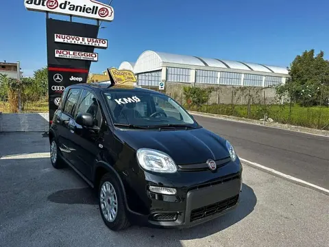 Annonce FIAT PANDA Hybride 2023 d'occasion 