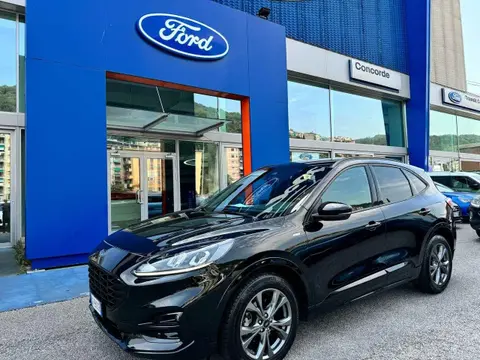 Annonce FORD KUGA Hybride 2021 d'occasion 