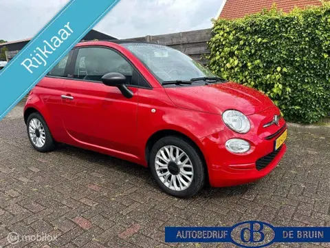 Used FIAT 500 Petrol 2019 Ad 