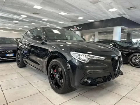 Used ALFA ROMEO STELVIO Diesel 2019 Ad Italy