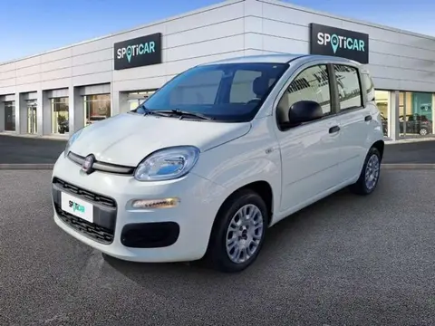 Annonce FIAT PANDA Essence 2021 d'occasion 