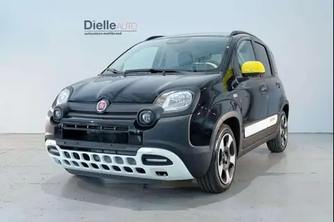 Annonce FIAT PANDA Hybride 2024 d'occasion 