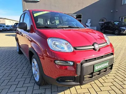 Used FIAT PANDA Hybrid 2024 Ad 