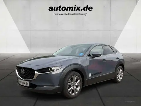 Annonce MAZDA CX-30 Essence 2021 d'occasion 