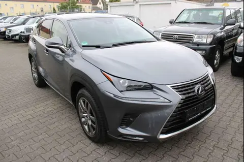 Used LEXUS NX Petrol 2020 Ad 